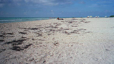 Beautiful beaches are a major attraction to the island.