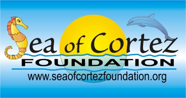 Sea of Cortez non profit