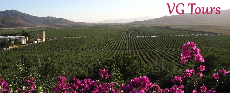 Baja wine region tours