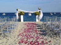 Weddings on the Sea of Cortez