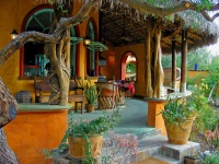 Cabo Pulmo vacation house