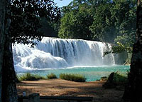 Cataratas de Agua Azul, Chiapas