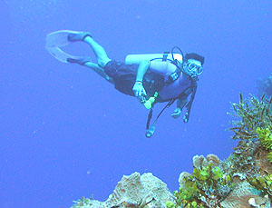 World class Scuba diving on Cozumel