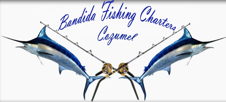Cozumel fishing charter