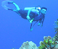 SCUBA Diving in Cozumel