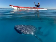 Kayaking in the Sea of Cortez