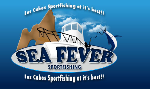 Cabo San Lucas sportfishing charter