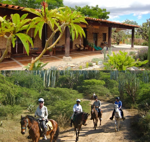 Horse Ranch Tours in Oaxaca, Mexico