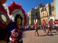 Oaxaca tour guide