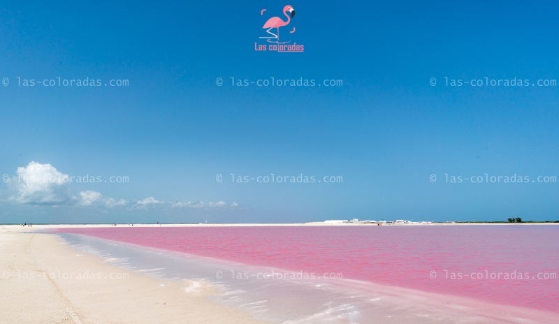 Pink Lakes, Mexico