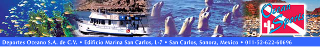 San Carlos, Sonora Diving